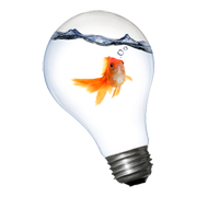 3dfi.net