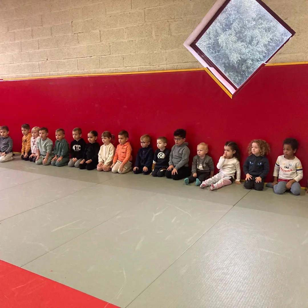 Judo et roi de l'oiseau Ecole Espaly