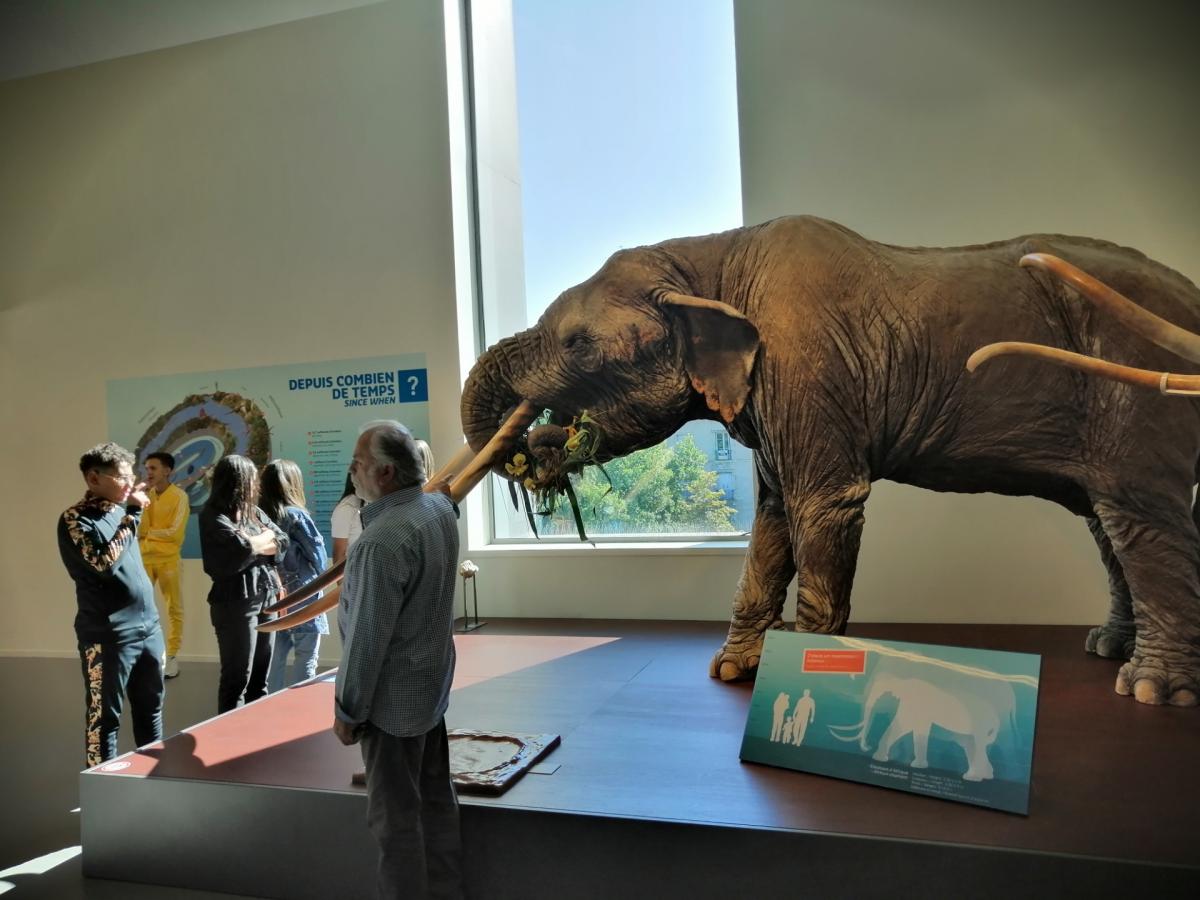 Visite musée Crozatier 2019