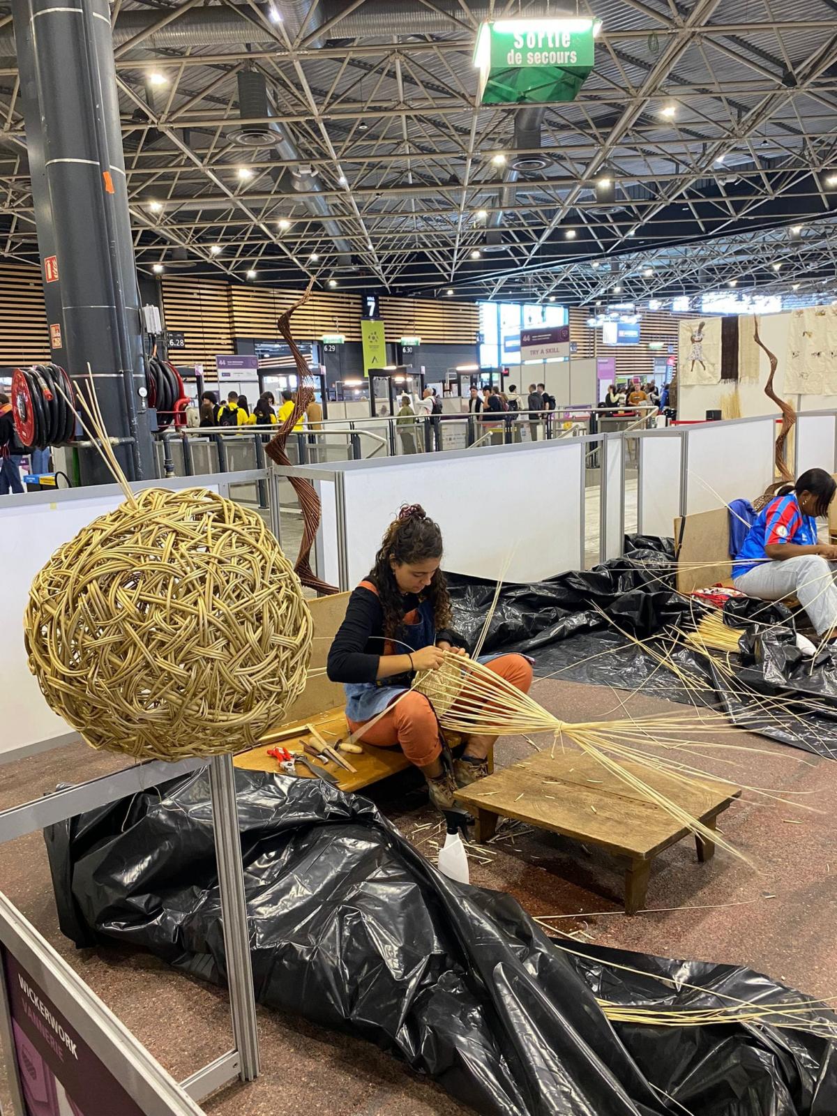 Demo 47eme competition mondiale des metiers